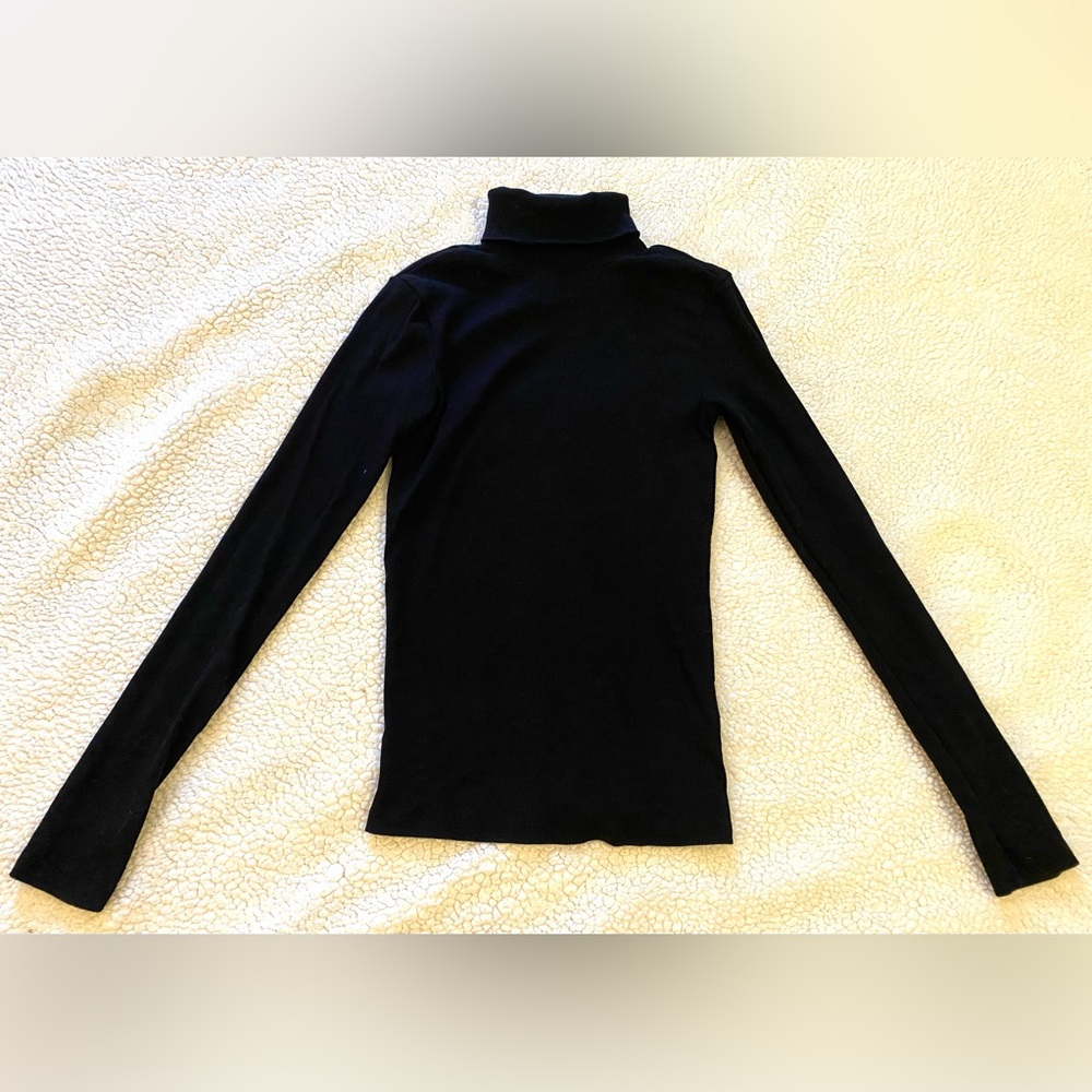 Brass Plum turtleneck